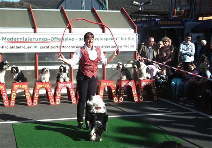 Eines von vielen Highlights beim röhrig-Familien-Sonntag sind die Hunde-Shows mit den „Igen´s“ bekannt von Auftritten bei Circus-Festivals und Events in ganz Europa.röhrig