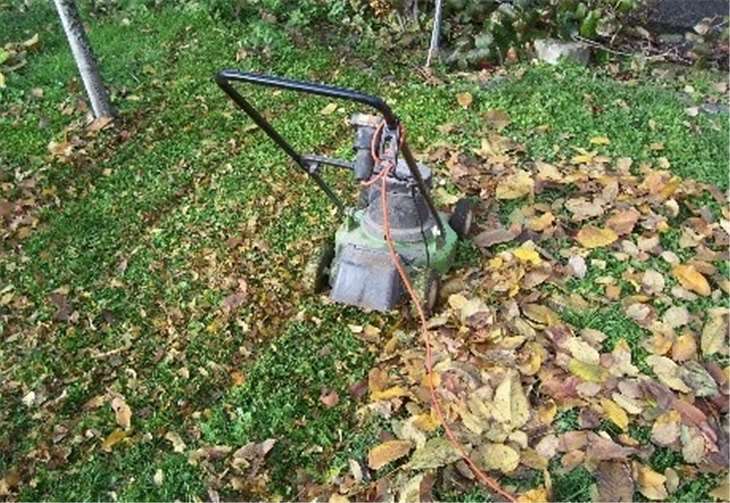Einfach einmal mit dem Rasenmäher über das gefallene Laub drüber fahren. Fotos: Gartenakademie RLP