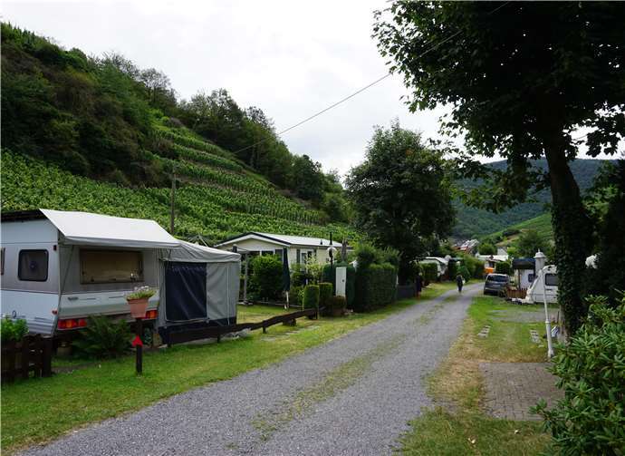 Eingerahmt von Weinbergen ist der Platz ein kleines Naturidyll.