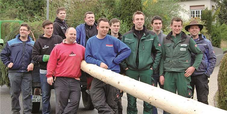 Einholen des Maibaums durch die Oberbreisiger Junggesellen.FA