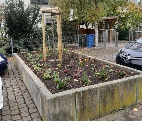 Einige Beete wurden nun schon neu bepflanzt. Foto: privat