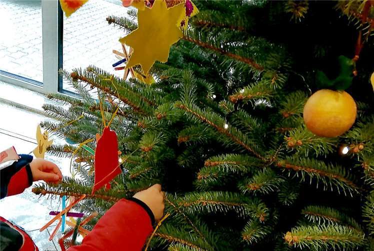 Einige Kinder der Regenbogengruppe konnten den Weihnachtsbaum der Volksbank Rhein Ahr Eifel in Weißenthurm zum Strahlen bringen.privat