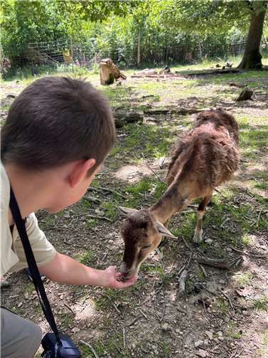 Einige Kinder haben sich sogar mit speziellem Tierfutter aus der Hand fressen lassen. Foto: VG Weißenthurm / Elena Reißlandt