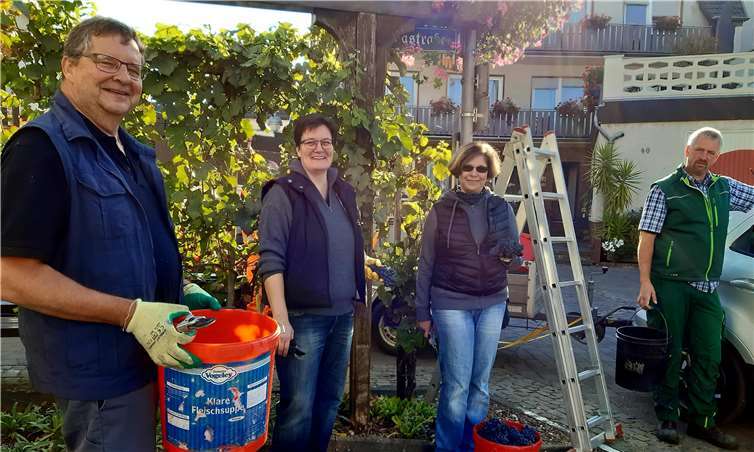 Einige Mitglieder des Ortsbeirates unterstützten die Lese. Foto: privat