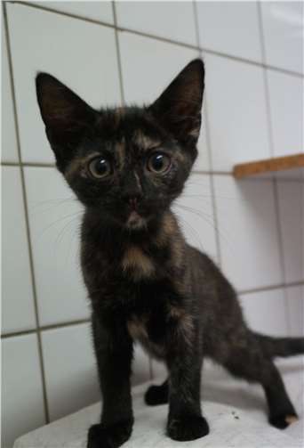 Einige müssen erst mal etwas aufgepäppelt werden.