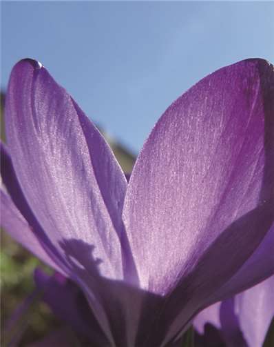 Einladung in der Fastenzeit - Aufbruch zu neuem Leben.