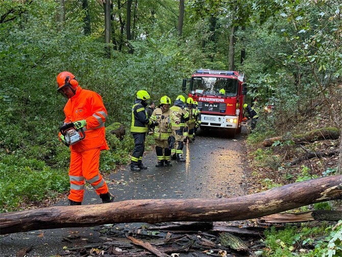 Einsatz der Einheit Altstadt im Bereich des Kutscherwegs am Drachenfels