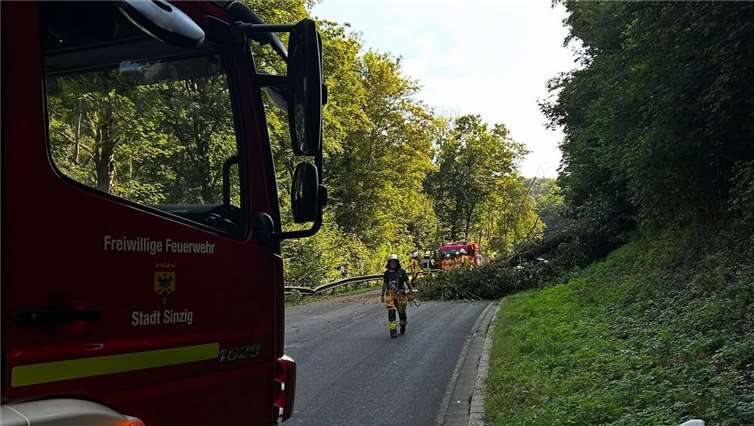 Einsatz für die Feuerwehr: Am Sonntag stürzte ein Baum auf die L82.  Foto:Freiwillige Feuerwehr Sinzig