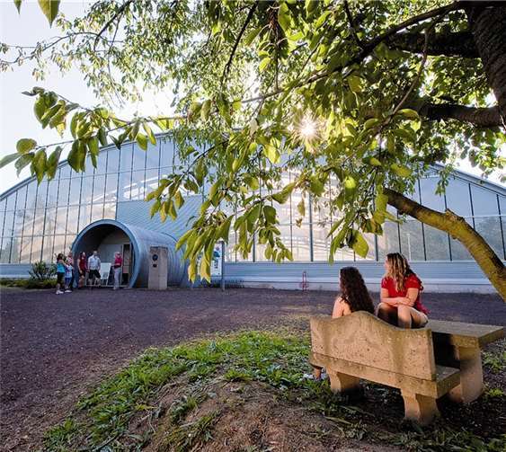 Eintauchen in die Welt der römischen Bergarbeiter können Interessierte im Römerbergwerk Meurin.