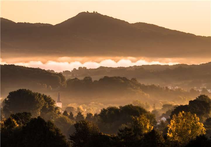 Einzigartige Natur-Erlebnisse bieten sich dem Wanderer im Siebengebirge. privat