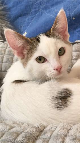 Elena, * 7.Mai 2021. Foto: privat