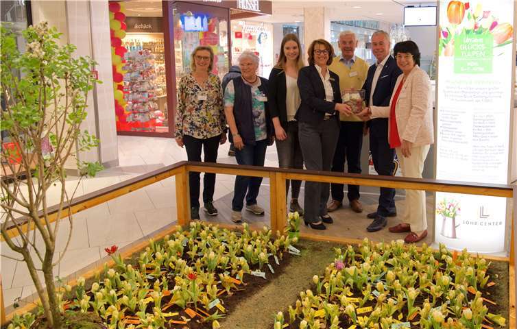 Elf Tulpen waren die Glückstulpen, denn sie hatten eine andere Farbe.Foto: Ernst Dolkemeier
