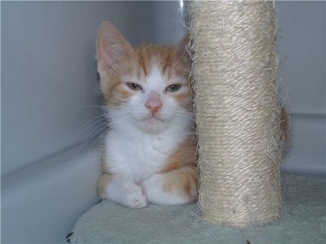 Elijah ist noch recht schüchtern.