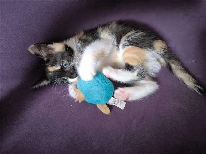 Elli.  Foto: privat
