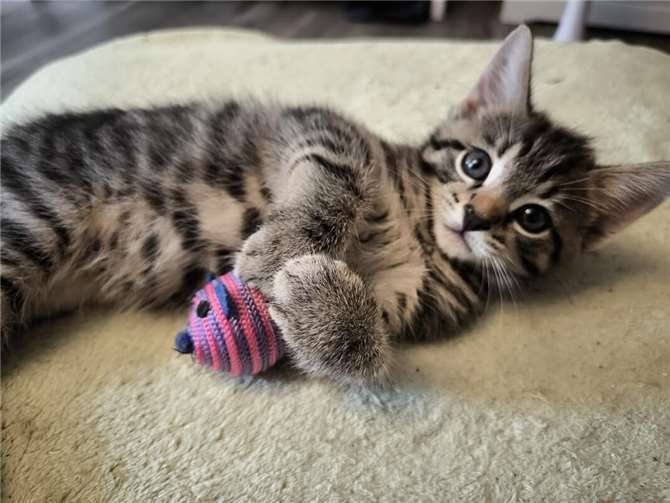 Emil. Foto: privat