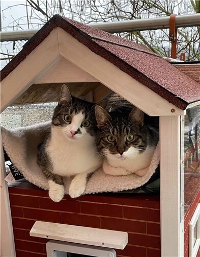 Emil (rechts) mit seinem Bruder Theo. Fotos: privat
