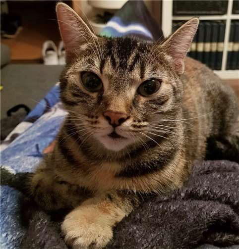 Emma ist neugierig.  Foto: privat