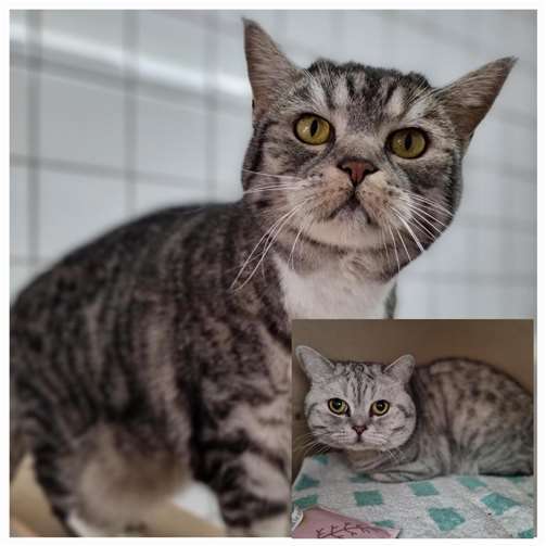 Emma und Willi.  Foto: Sybill Limbach