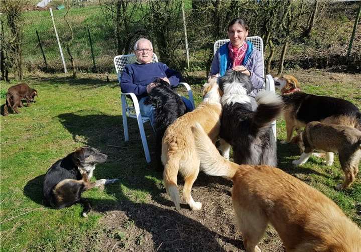 Engel für die Straßentiere von Rumänien und Ungarn: Reinhard und Irina Pohlmann. Fotos: privat