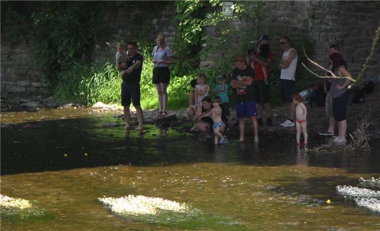 Entlang der Ahr verfolgten viele Interessierte den Wettstreit der gelben Badeenten.