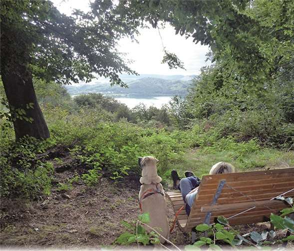 Entlang der Wanderwege wurden neue Ruhebänke aufgestellt. privat