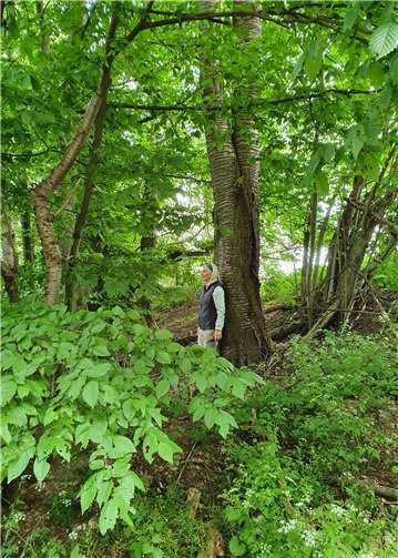 Entschleunigung und Wohlbefinden stehen beim Waldbaden im Mittelpunkt.Foto: privat