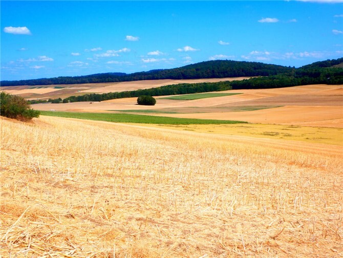 Entsteht hier ein neuer Solarpark?  Foto: privat