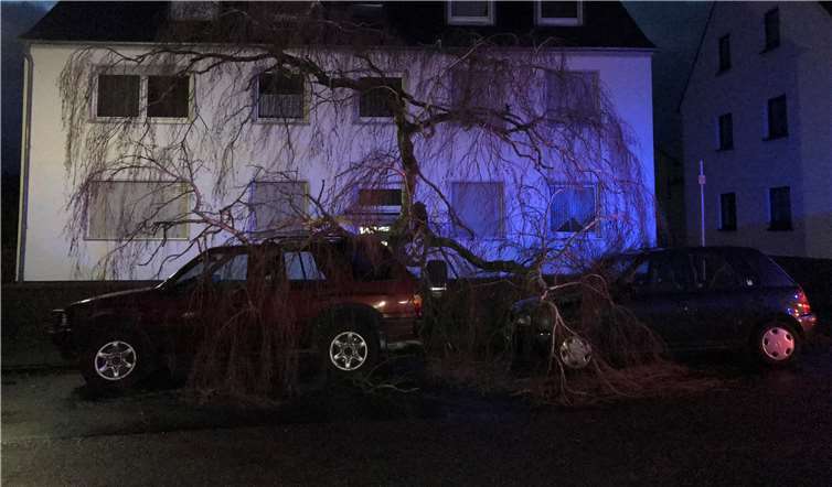 Entwurzelte Bäume haben für Schäden und Behinderungen gesorgt. Foto: Polizei Koblenz
