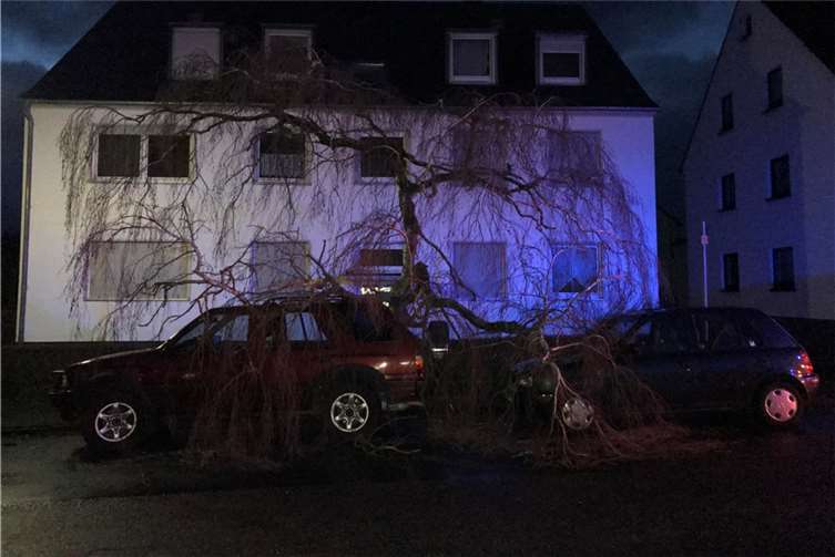 •Entwurzelte Bäume haben für Schäden und Behinderungen gesorgt. Foto: Polizei Koblenz
