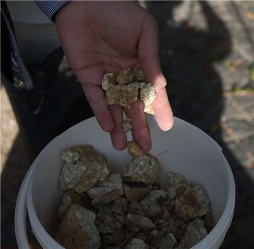 Erdgeschichte zum Anfassen: Verschiedene Gesteinsproben verdeutlichten verschiedene Entstehungsphasen.