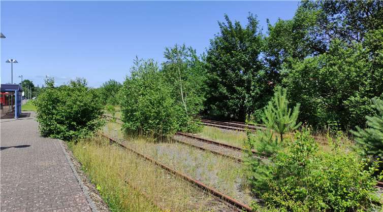 Erforderlich wäre die Beseitigung des zwischenzeitlich teilweise dichten Bewuchses. Danach ließen sich einerseits die in Gerolstein eingeschlossenen, vom Hochwasser beschädigten Fahrzeuge in eine Werkstatt überführen.