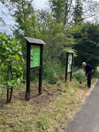 Frischer Glanz für Lehrpfad an der Alzbach Erhalt des Alzbach-Lehrpfades durch engagierte Helfer.
