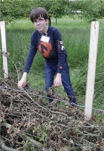 Eric schichtet Äste für die Bentjeshecke auf.
