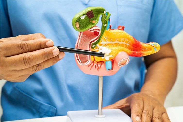 Erkrankungen der Bauchspeicheldrüse erfordern eine sorgfältige Diagnostik sowie eine zügige, individuell abgestimmte Therapie. Genau darauf zielt das PankreasNetzwerk Rhein-Ahr ab.  Foto: GettyImages