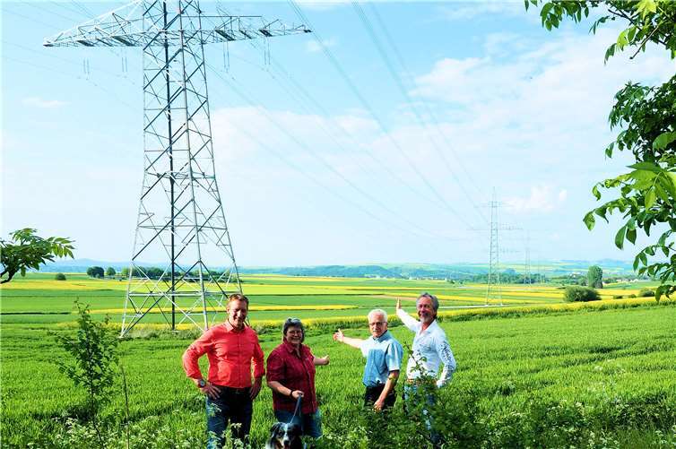 Erkundigten sich vor Ort: Maximilian Mumm, Helmut Führ, Annette Lehnigk-Emden und Dipl.-Ing. Gavin Grosvenor. privat