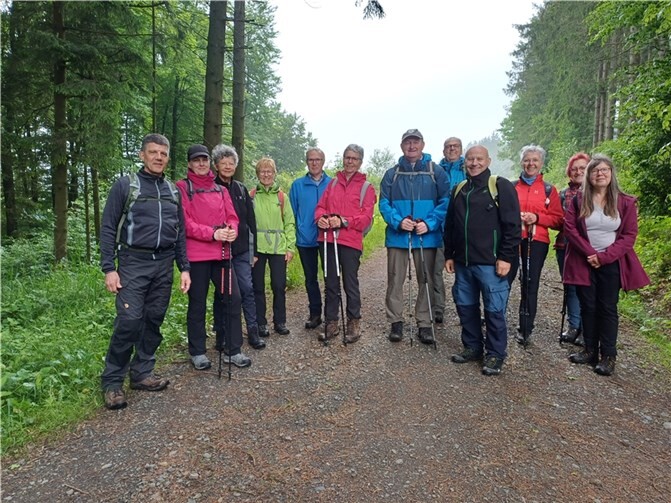 Erkundung der Eifel: 13 Wanderer auf dem „Struthwanderweg“ unterwegs. Quelle: Eifelverein Kaisersesch