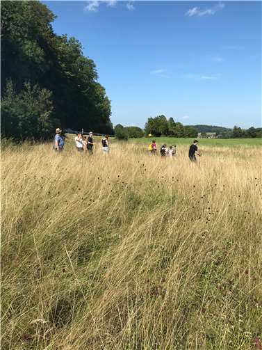 Erkundung der NABU-Fläche. Copyright: SNU