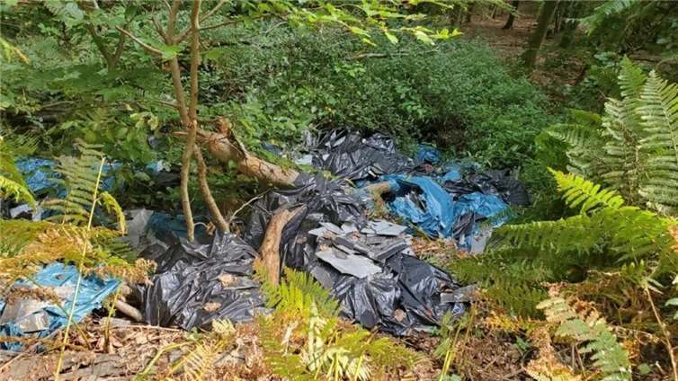 Erneut wurden asbesthaltige Platten illegal entsorgt. Foto: Roland Fetz