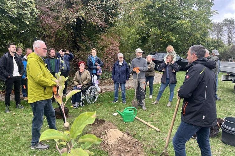 Eröffnungsplanzung der Obstbaum-Pflanz-Challenge durch die Klima-Werkstatt und den Oberbürgermeister