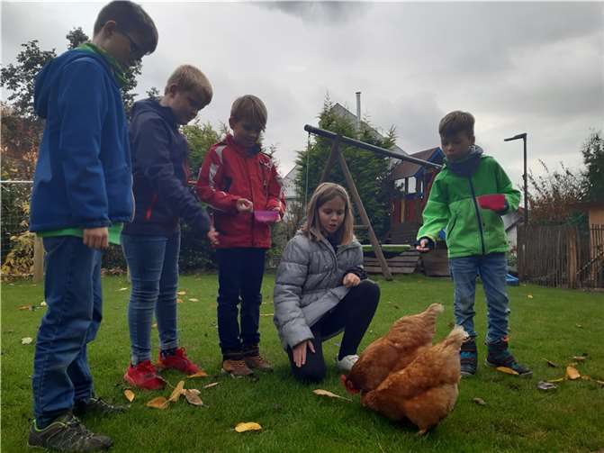 Erst kürzlich kam die erste „Hühner-Exkursionsgruppe“ des Hortes Chateau-Renault in Mülheim der Einladung nach, einmal echt glückliche Hühner in privater Haltung zu besuchen.Foto: privat