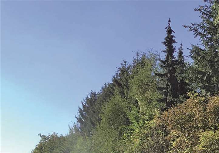 Erste Reparaturarbeiten wurden an dem betroffenen Streckenabschnitt durchgeführt. privat