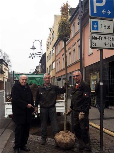 Erster Beigeordneter Bernhard Wiemer freut sich, dass die Stadtgärtner neue Bäume in der Innenstadt pflanzen.Foto: Stadt Bendorf