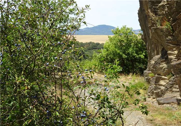 Es besteht keine Gefahrenlage mehr durch herabfallendes Gestein. Foto: privat