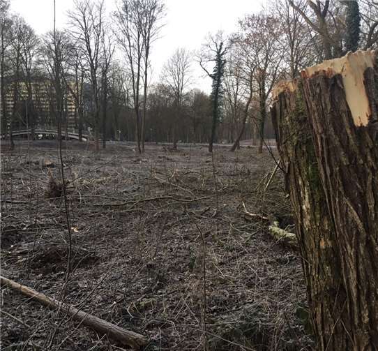 Es blieb nicht viel übrig von der ursprünglichen natürlichen Artenvielfalt. Fotos: Schlagwein