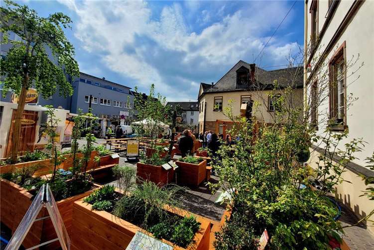 Es blüht und grünt in der Entdeckerlounge auf dem Bendorfer Kirchplatz.