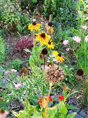 Es blüht zu allen Jahreszeiten.