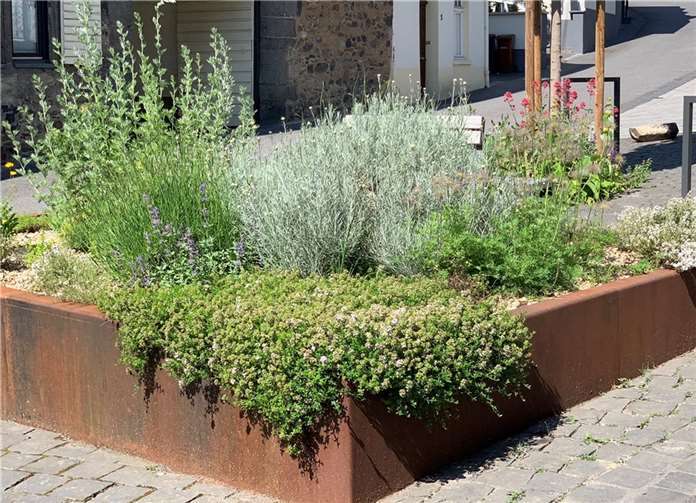 Es gab konkrete Hinweise, was man tun kann, wenn man den eigenen Garten zu einem natürlichen Lebensraum gestalten will.  Quelle: Stadt Linz