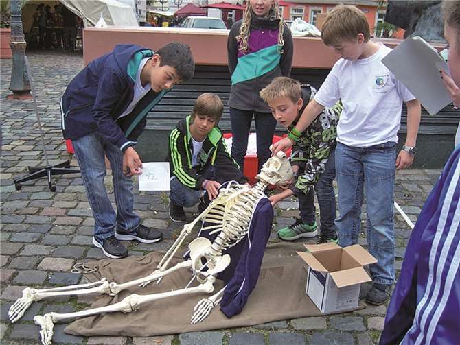 Es gab noch mehr zu sehen als die Wettbewerbsaufgaben.