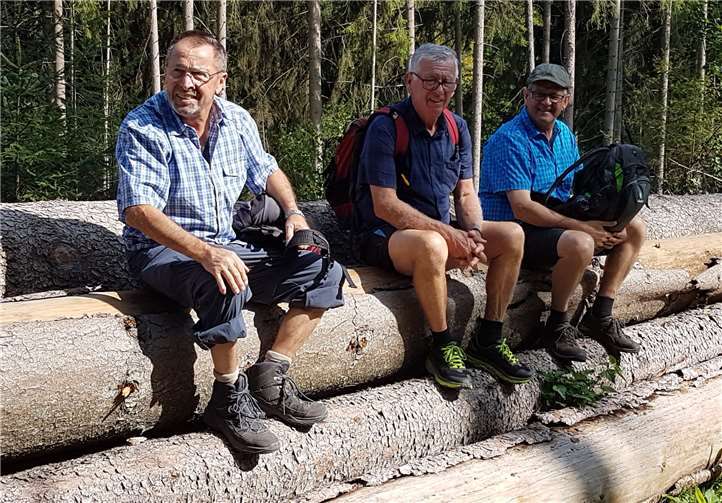Es gab zum Sitzen zwar keine Bänke, aber Baustämme.