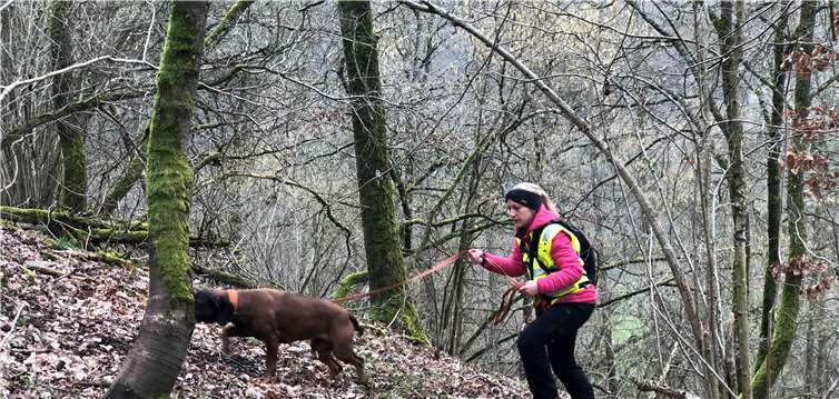 Es geht bei der Suche steile Bergrücken rauf und runter: Anna Bach mit Jagd- und Suchhund Cleo im Hang.